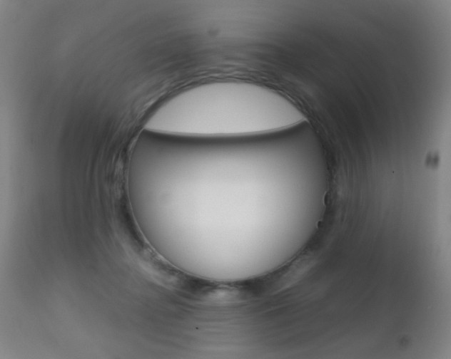 X0000112510364200908171054