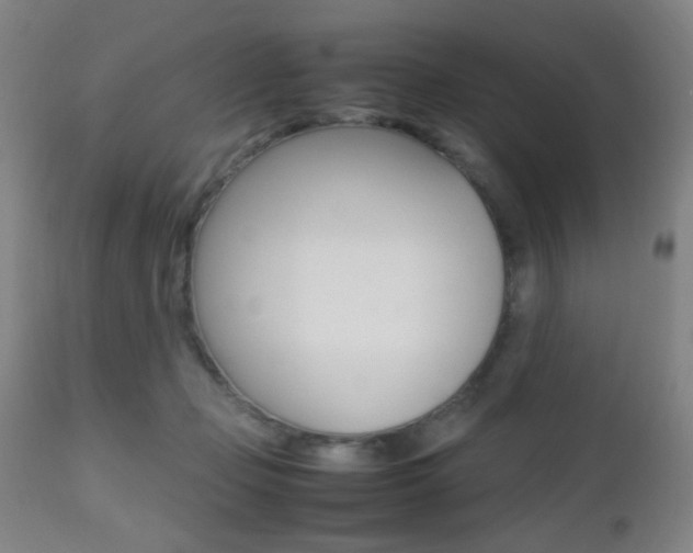 X0000112510365200908171054