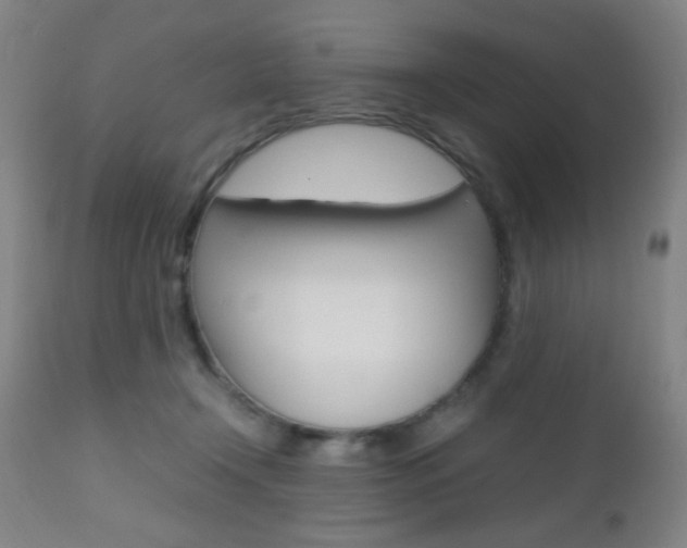 X0000112510366200908171054