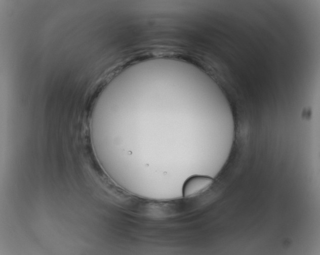 X0000112510367200908171054