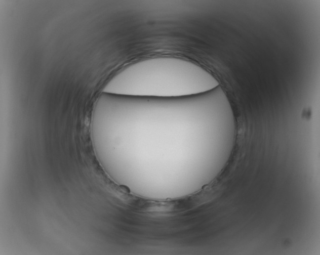 X0000112510369200908171054