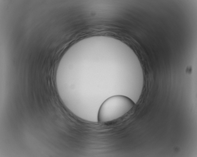 X0000112510372200908171054