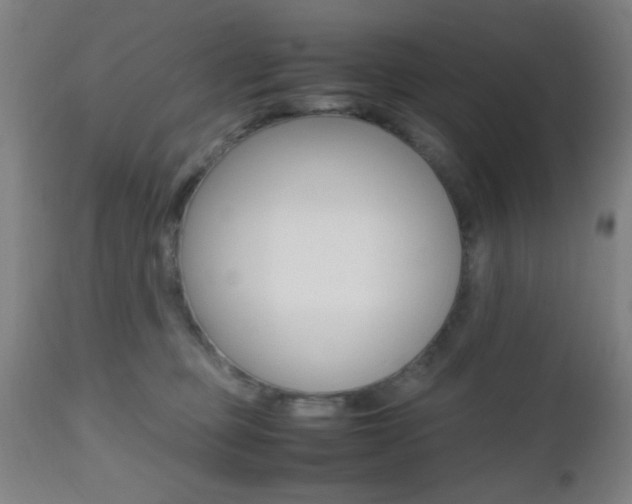X0000112510373200908171054