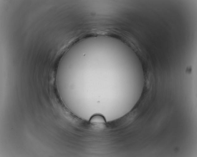 X0000112510374200908171054