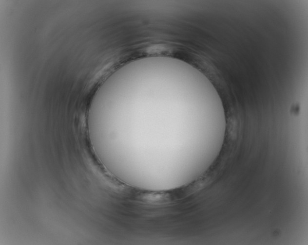 X0000112510375200908171054
