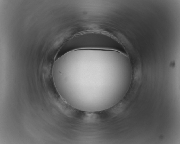 X0000112510376200908171054