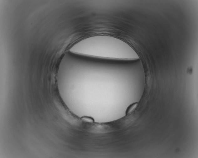 X0000112510379200908171054