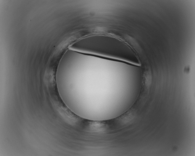 X0000112510380200908171054