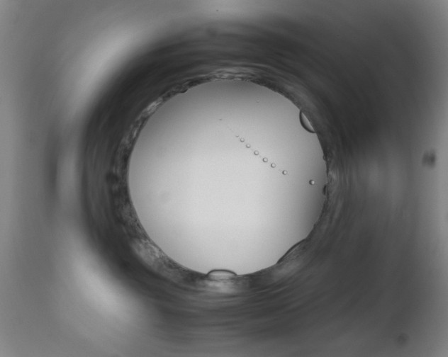 X0000112510381200908171054
