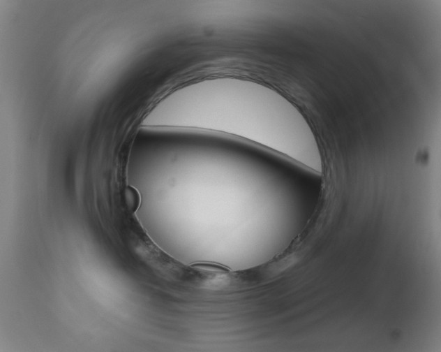 X0000112510382200908171054