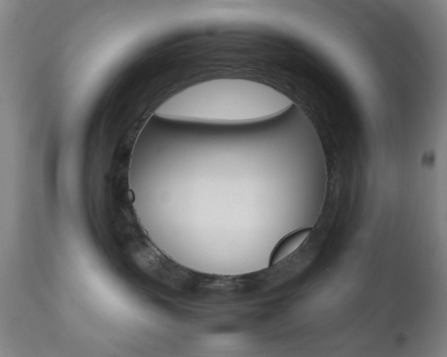 X0000112510383200908171054