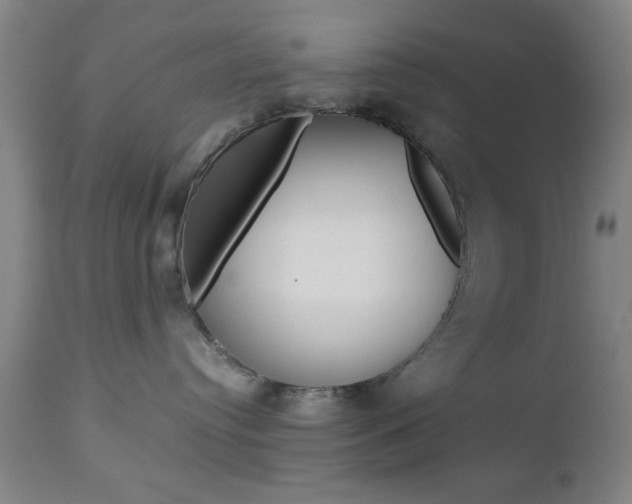 X0000112510384200908171054