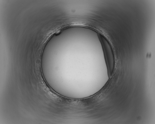 X0000112510385200908171053