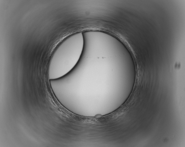 X0000112510386200908171053