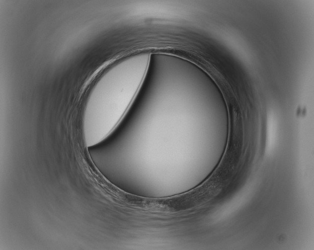 X0000112510387200908171053