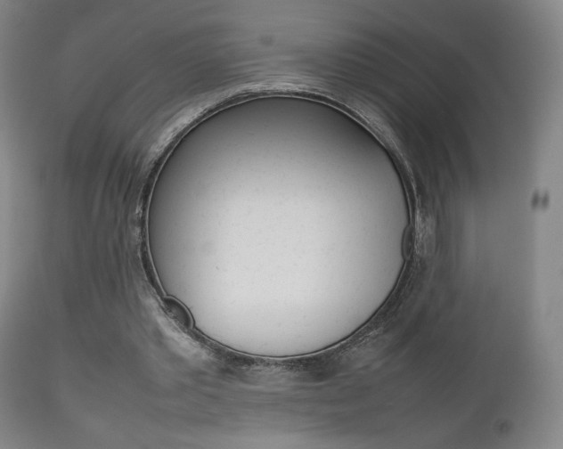 X0000112510389200908171053
