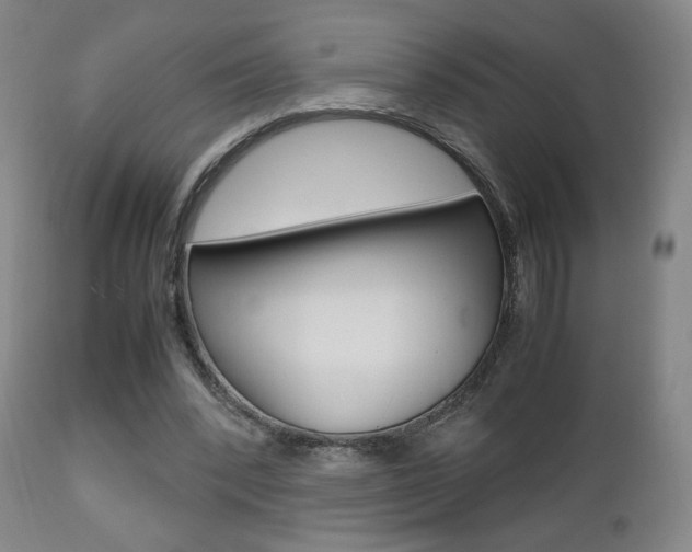 X0000112510392200908171053