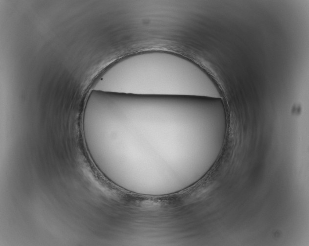 X0000112510394200908171053