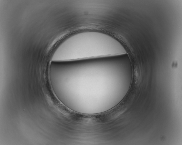 X0000112510396200908171053
