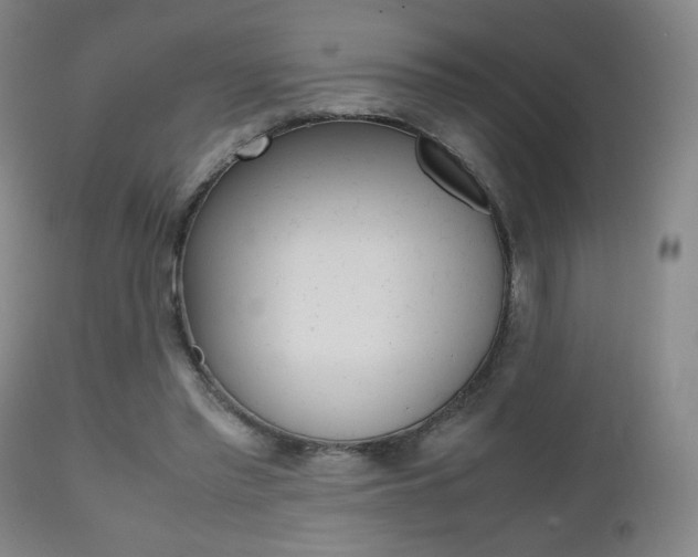 X0000112510397200908171053