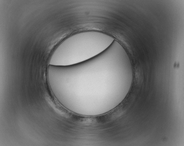 X0000112510398200908171053