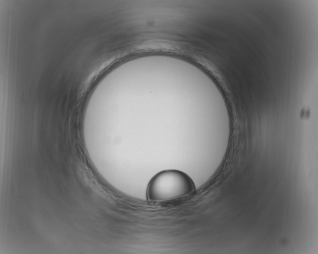 X0000112510399200908171053