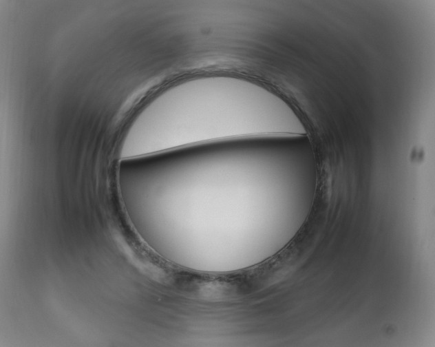 X0000112510400200908171053