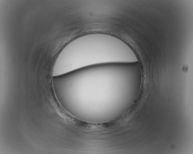 X0000112510401200908171053