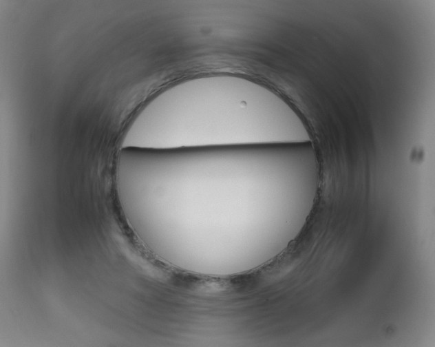 X0000112510402200908171053