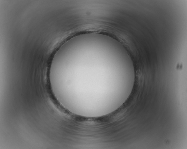 X0000112510404200908171053