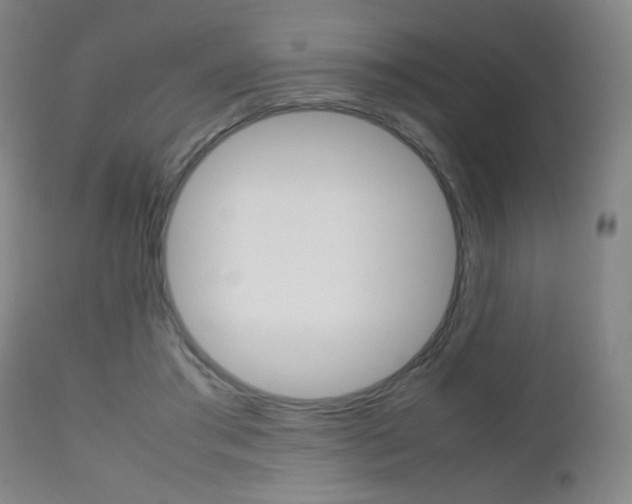 X0000112510405200908171053