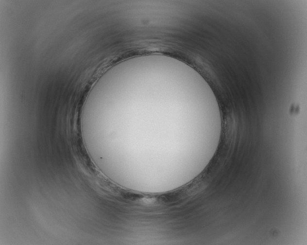 X0000112510406200908171053