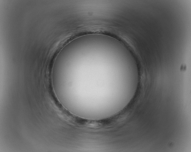 X0000112510407200908171053
