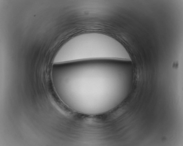 X0000112510408200908171053