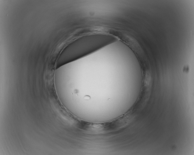 X0000112510409200908171053