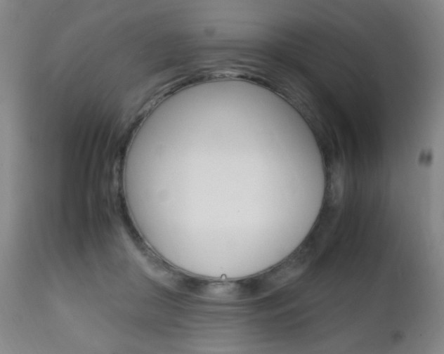 X0000112510410200908171053