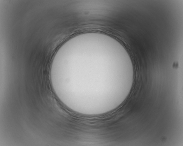 X0000112510411200908171053