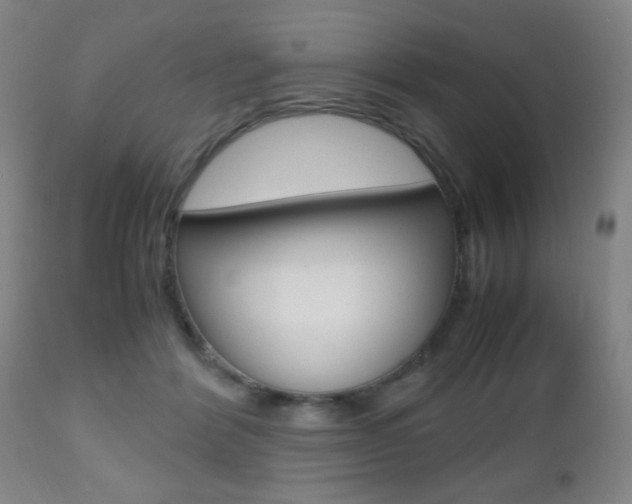 X0000112510412200908171053