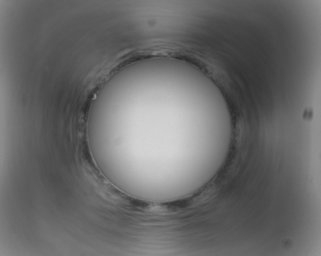 X0000112510413200908171053