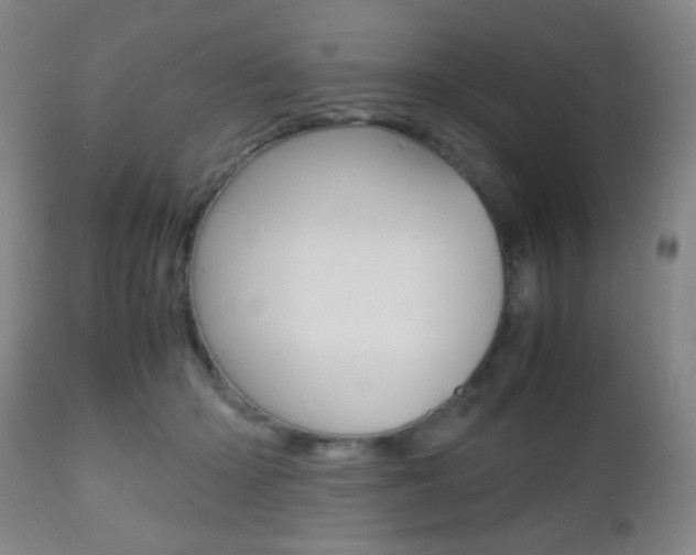 X0000112510414200908171053