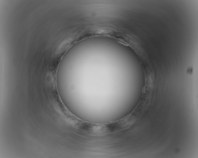 X0000112510415200908171053