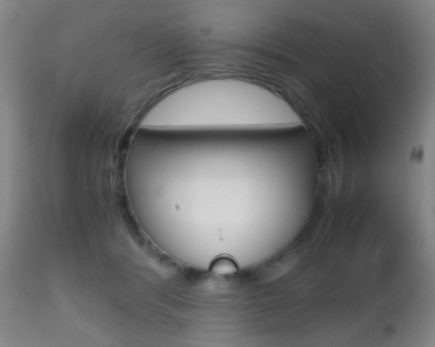 X0000112510416200908171053