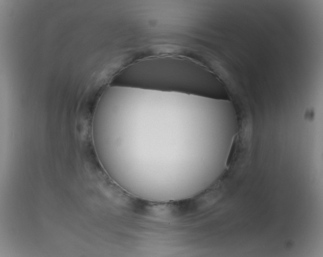 X0000112510417200908171053