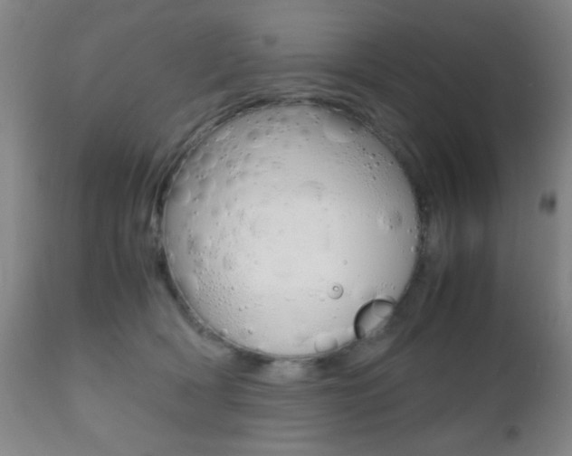 X0000112510418200908171053
