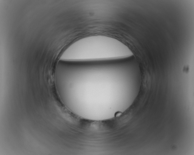 X0000112510420200908171053