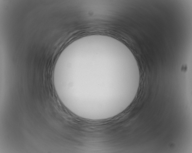 X0000112510421200908171053