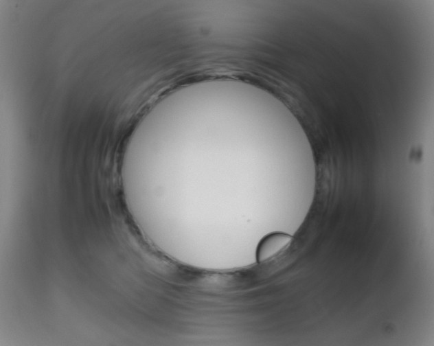 X0000112510422200908171053