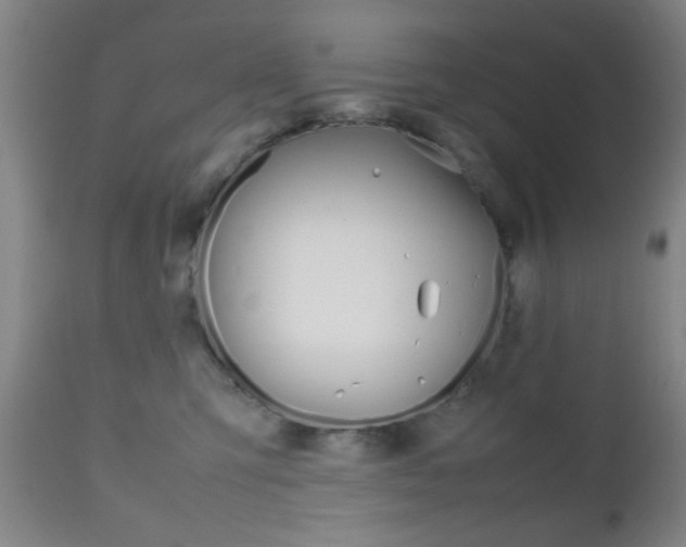 X0000112510423200908171053