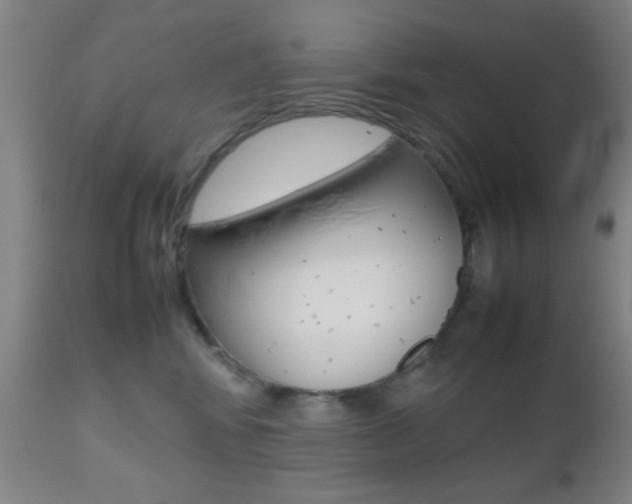 X0000112510424200908171053