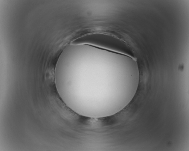 X0000112510425200908171053
